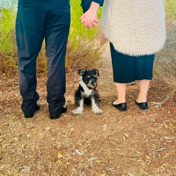 Meet your Posher, Kyla - Picture 6 of 15